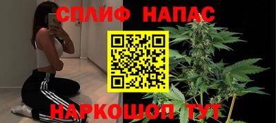 бошки Протвино